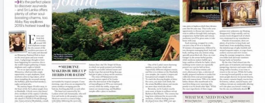 Healthy Magazine UK: Paradise Found