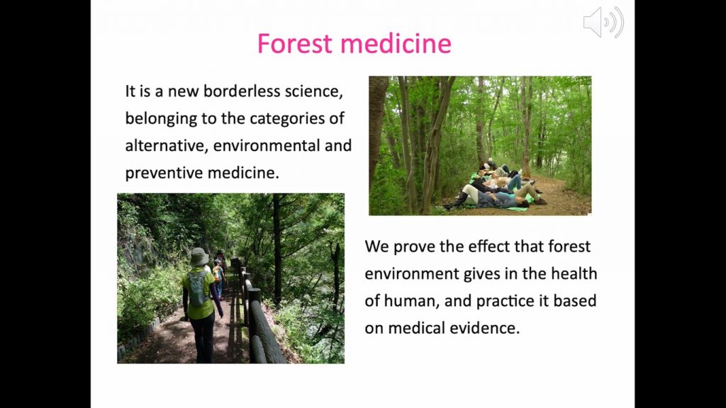 Ayurveda and Forest Medicine